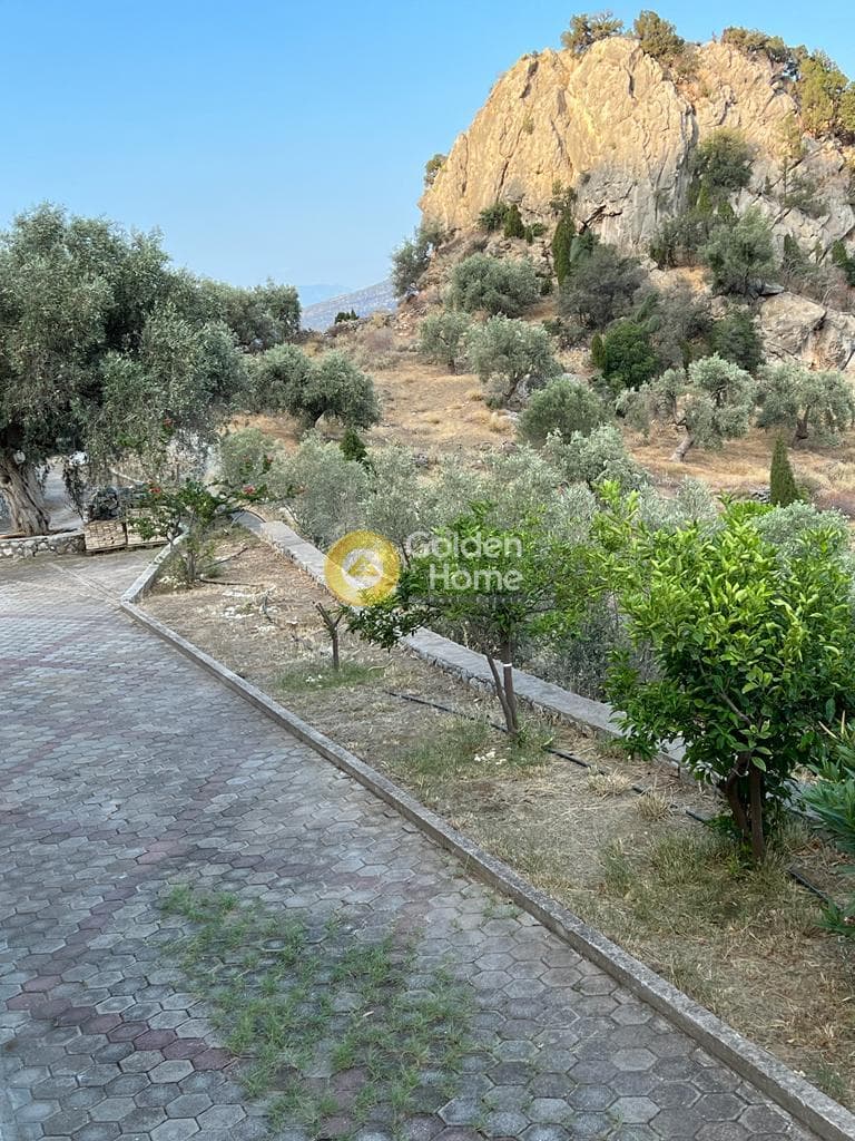 Μονοκατοικία στην Άγιος Ισίδωρος, Αντικύρα — Φωτογραφία 8 από 17