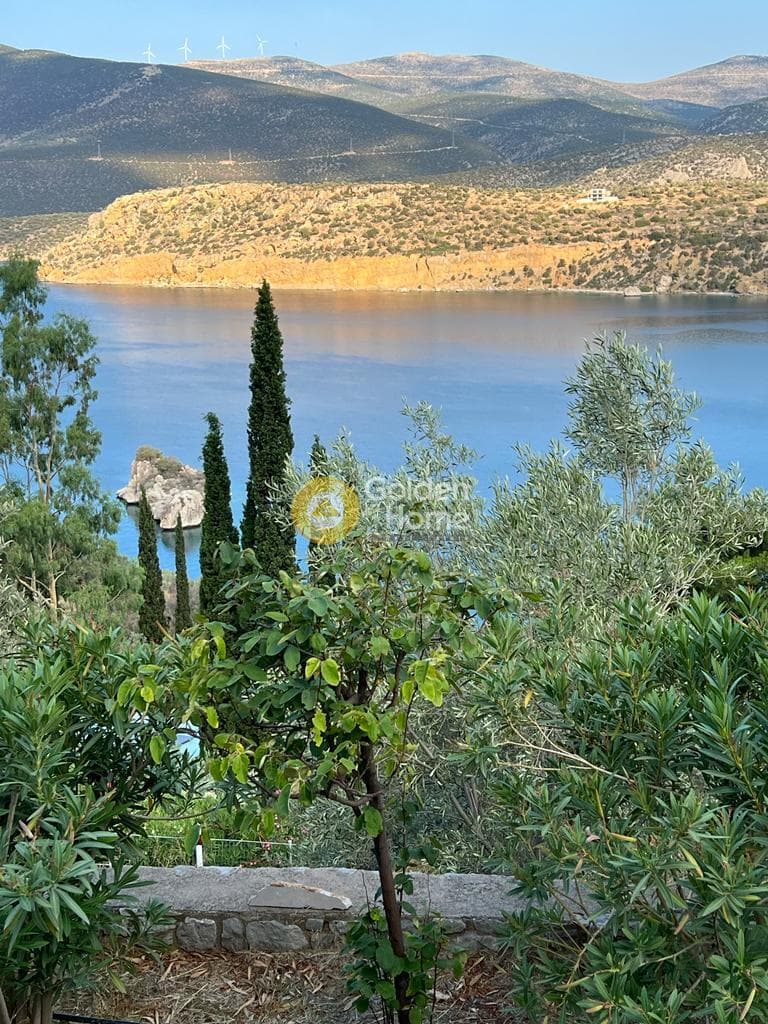 Μονοκατοικία στην Άγιος Ισίδωρος, Αντικύρα — Φωτογραφία 2 από 17