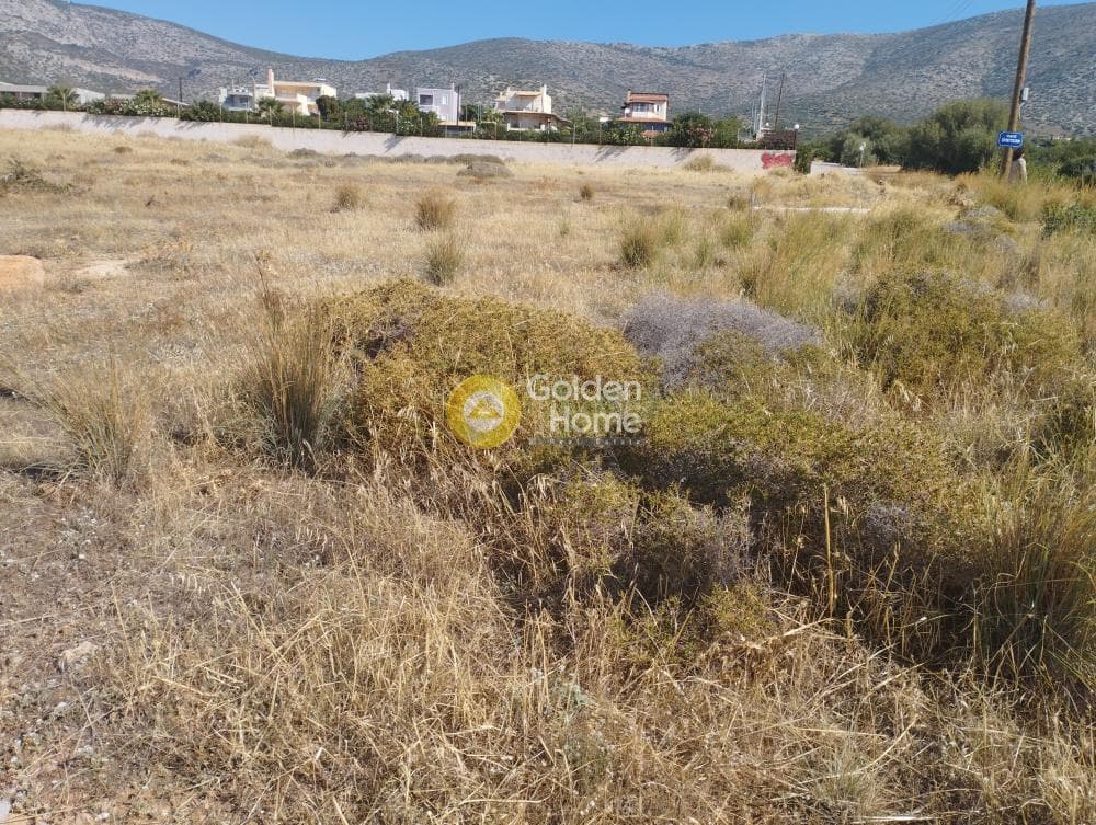 Αγροτεμάχιο στην Καλύβια, Καλύβια Θορικού — Φωτογραφία 3 από 4
