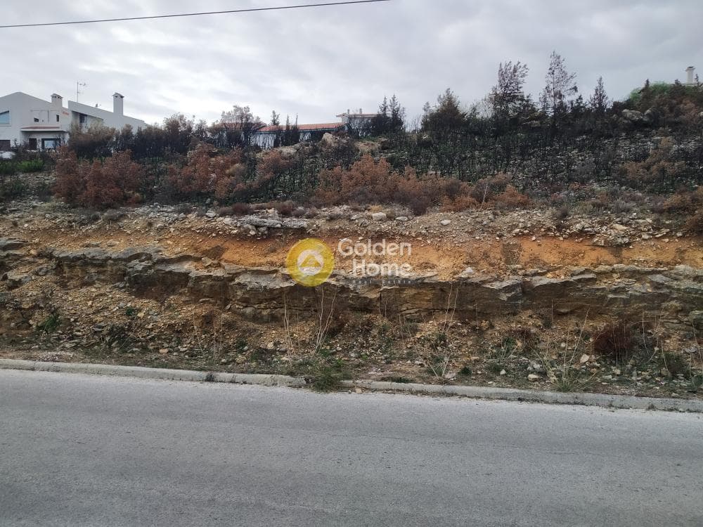 Building Plot in Nea Pallini, Pallini — Photo 2 of 4
