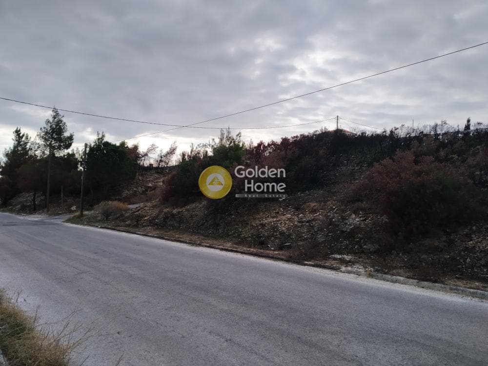 Οικόπεδο στην Ντράφι, Πικέρμι — Φωτογραφία 3 από 4