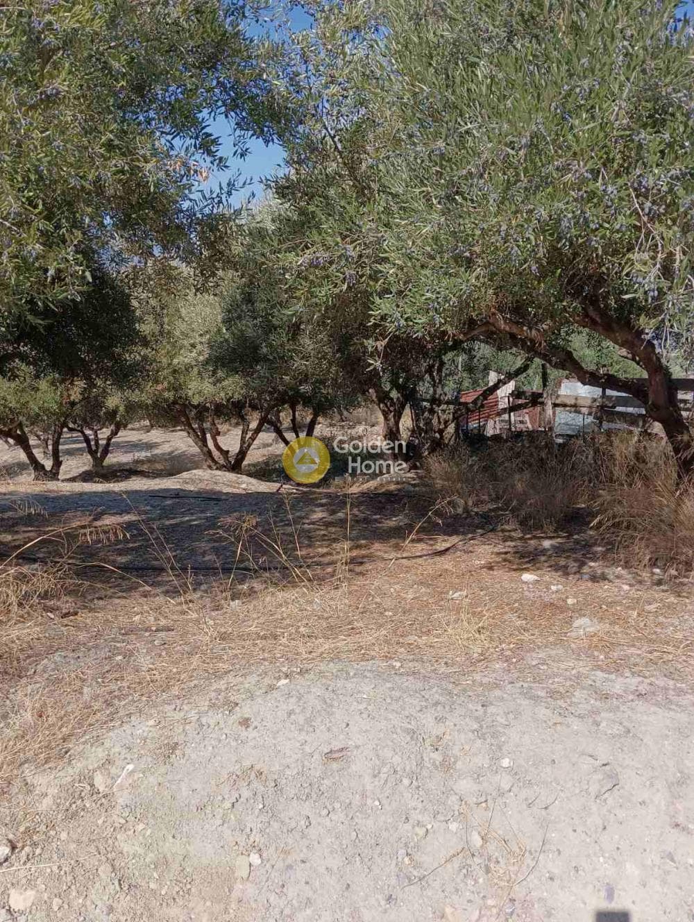 Building Plot in Agios Vlasios, Archanes — Photo 6 of 7