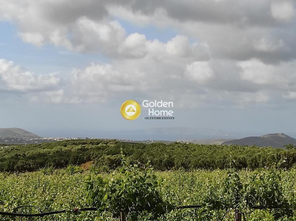 Οικόπεδο στην Κουνάβοι, Αρχάνες — Φωτογραφία 1 από 5