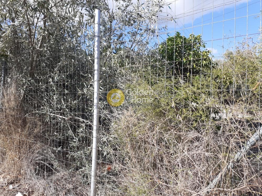 Οικόπεδο στην Άνω Μπαλάνα, Παλλήνη — Φωτογραφία 5 από 5