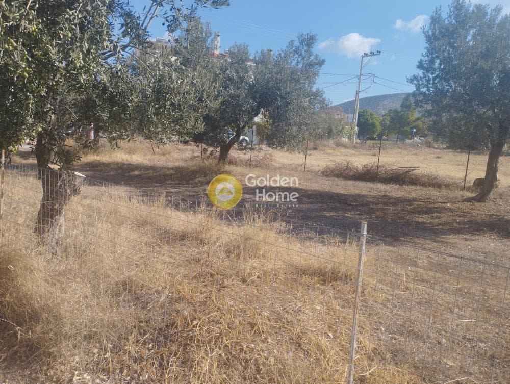 Αγροτεμάχιο στην Γαλάζια ακτή, Καλύβια Θορικού — Φωτογραφία 3 από 4