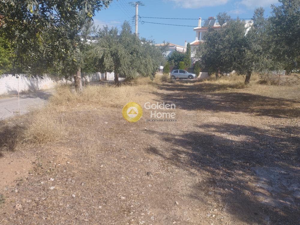 Αγροτεμάχιο στην Γαλάζια ακτή, Καλύβια Θορικού — Φωτογραφία 4 από 4
