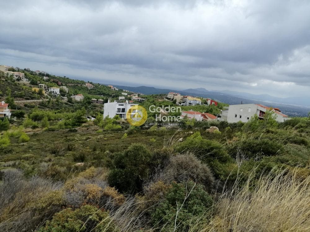 Οικόπεδο στην Δασαμάρι, Πικέρμι — Φωτογραφία 1 από 24