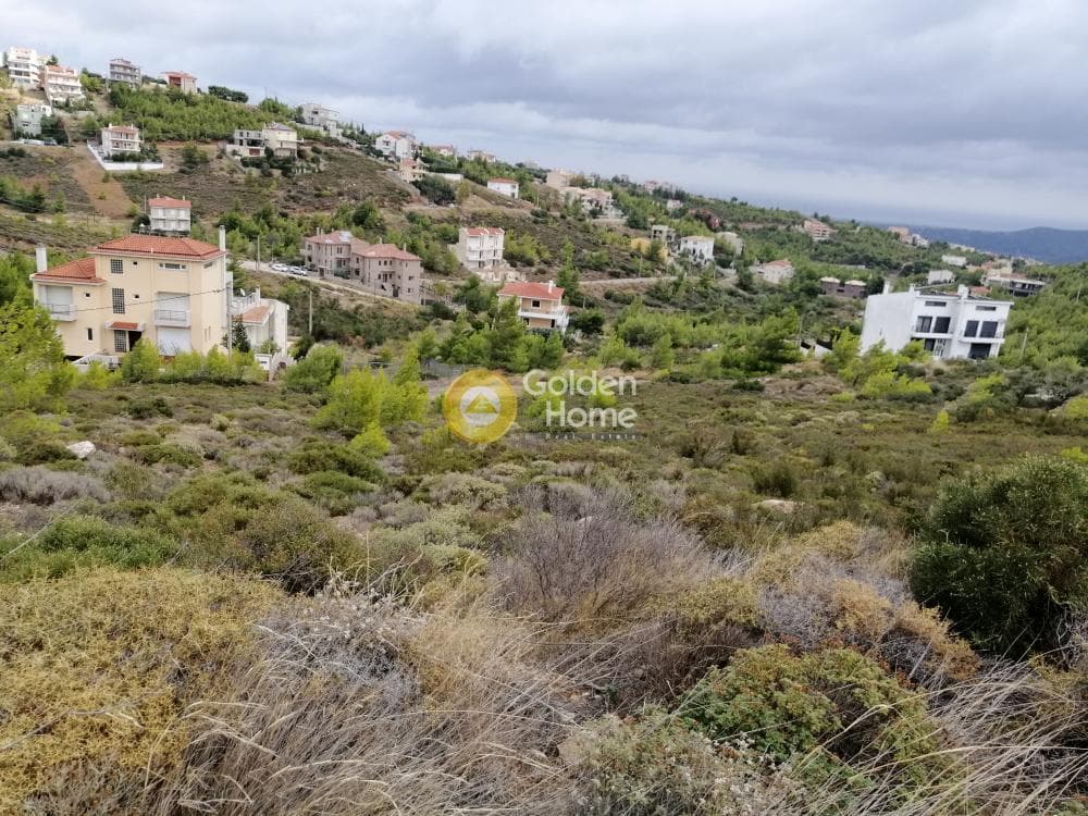 Οικόπεδο στην Δασαμάρι, Πικέρμι — Φωτογραφία 4 από 24