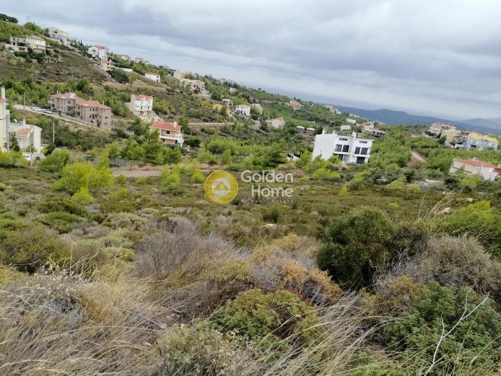Οικόπεδο στην Δασαμάρι, Πικέρμι — Φωτογραφία 5 από 24