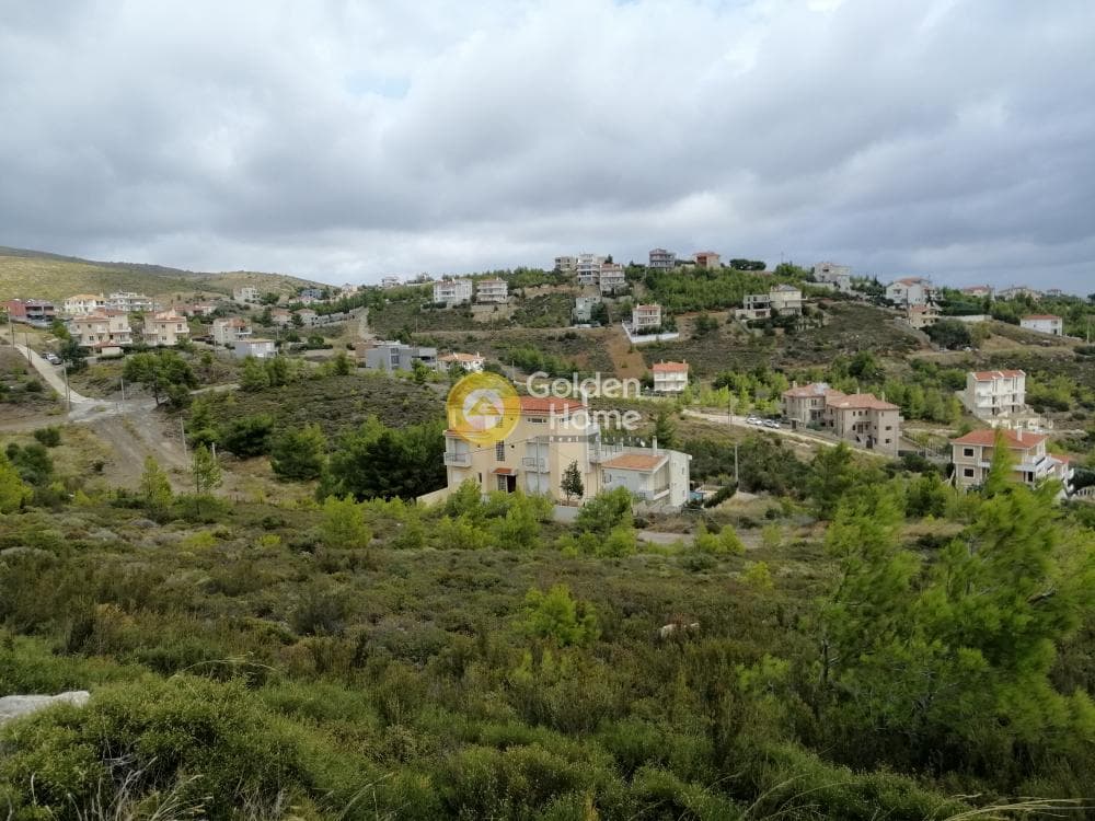Οικόπεδο στην Δασαμάρι, Πικέρμι — Φωτογραφία 8 από 24