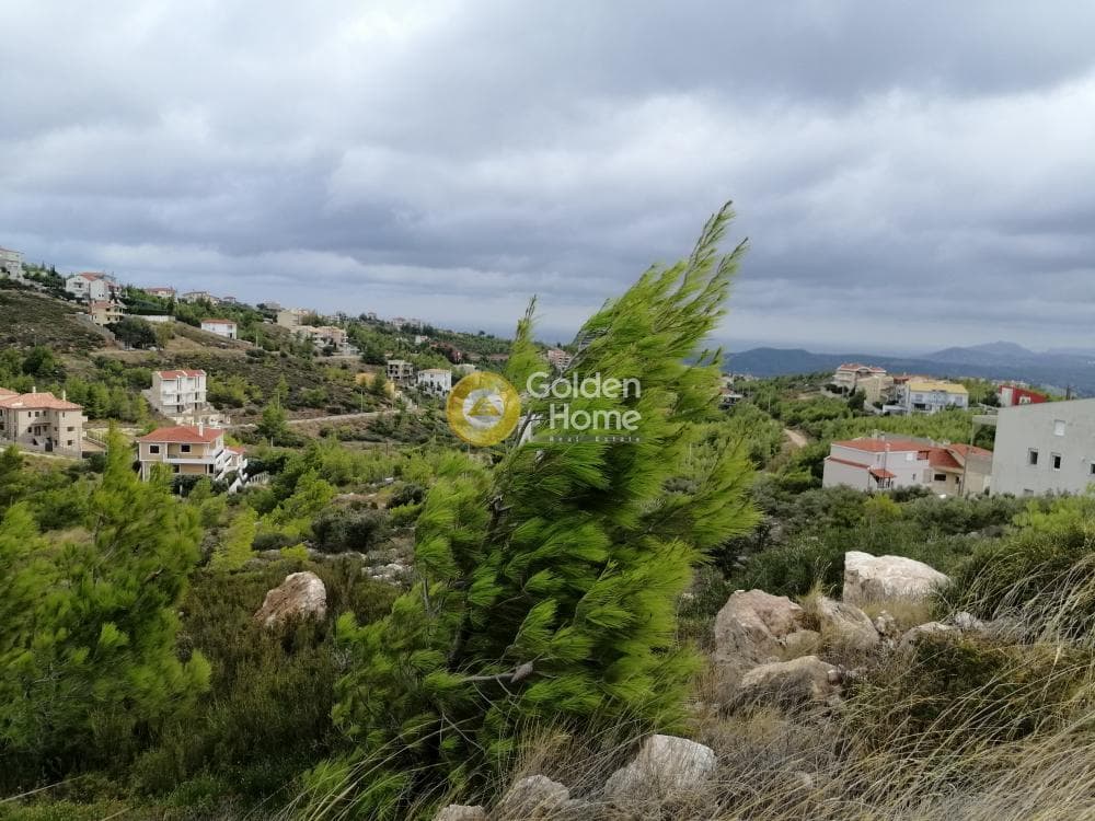 Οικόπεδο στην Δασαμάρι, Πικέρμι — Φωτογραφία 10 από 24