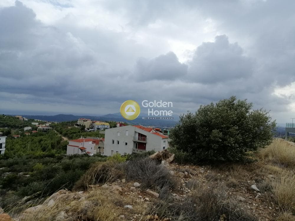 Οικόπεδο στην Δασαμάρι, Πικέρμι — Φωτογραφία 21 από 24