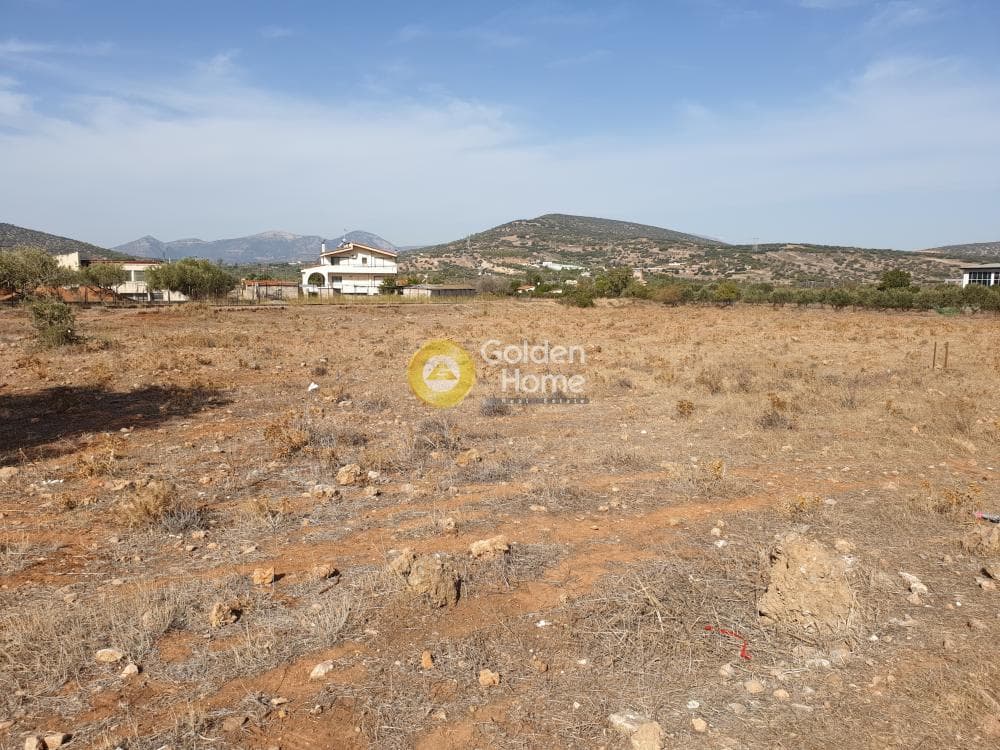 Αγροτεμάχιο στην Κεφλαίικα, Καλύβια Θορικού — Φωτογραφία 1 από 3