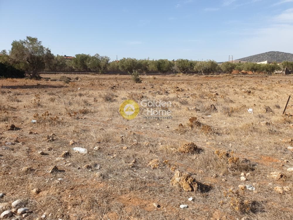 Αγροτεμάχιο στην Κεφλαίικα, Καλύβια Θορικού — Φωτογραφία 2 από 3
