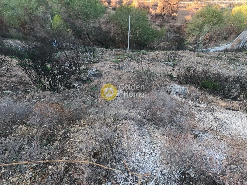 Οικόπεδο στην Ντράφι, Πικέρμι — Φωτογραφία 2 από 3