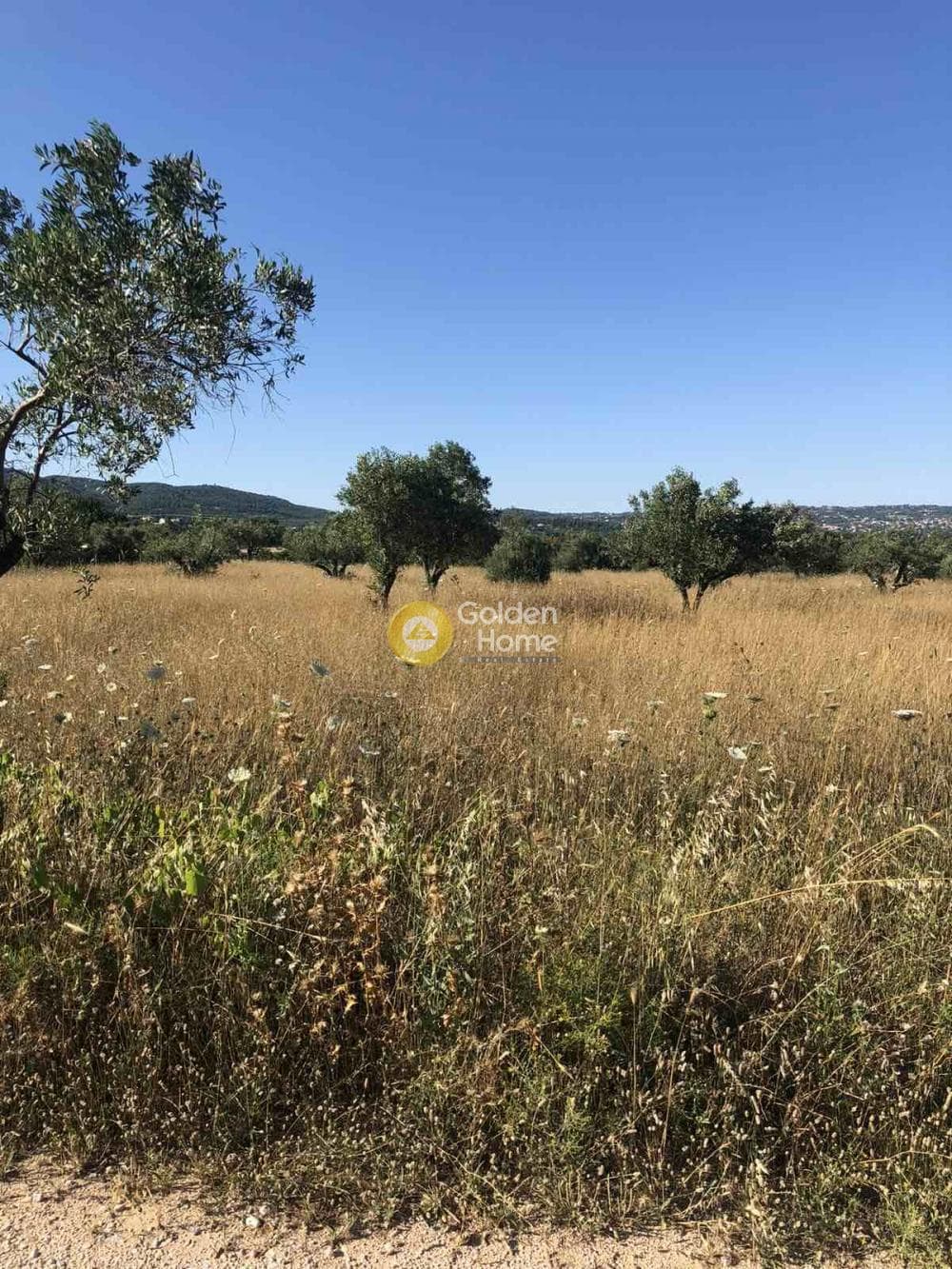 Οικόπεδο στην Κοσμοθέα, Αφίδνες — Φωτογραφία 2 από 3