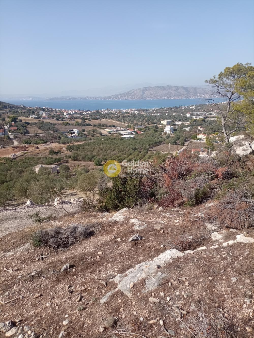 Αγροτεμάχιο στην Δημητράνη, Σαλαμίνα — Φωτογραφία 1 από 3