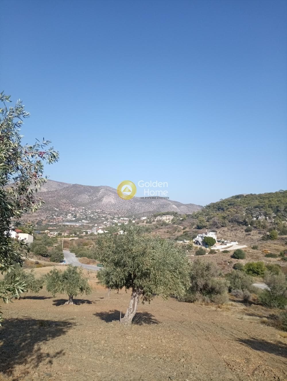 Οικόπεδο στην Δημητράνη, Σαλαμίνα — Φωτογραφία 2 από 4