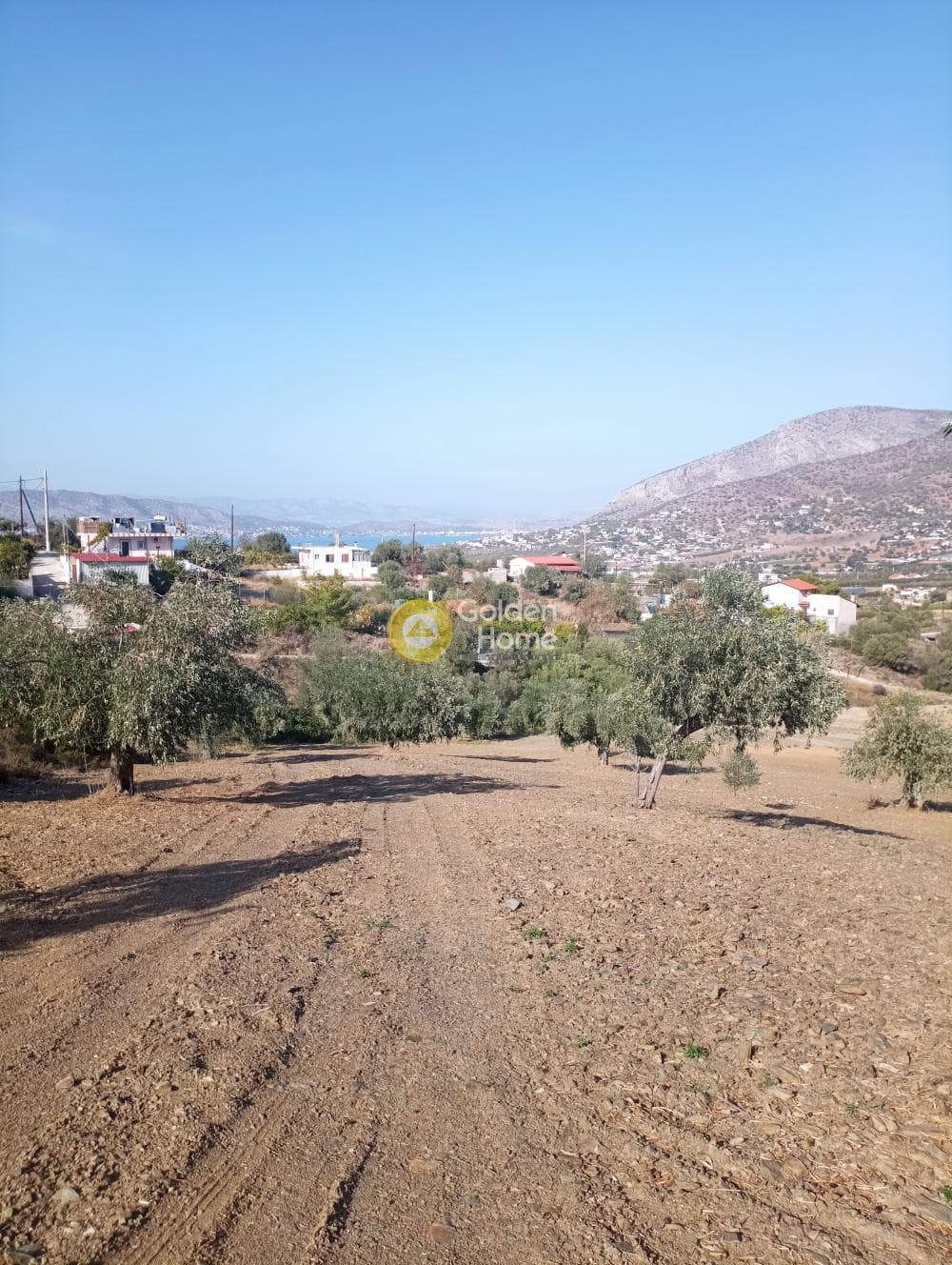 Οικόπεδο στην Δημητράνη, Σαλαμίνα — Φωτογραφία 3 από 4