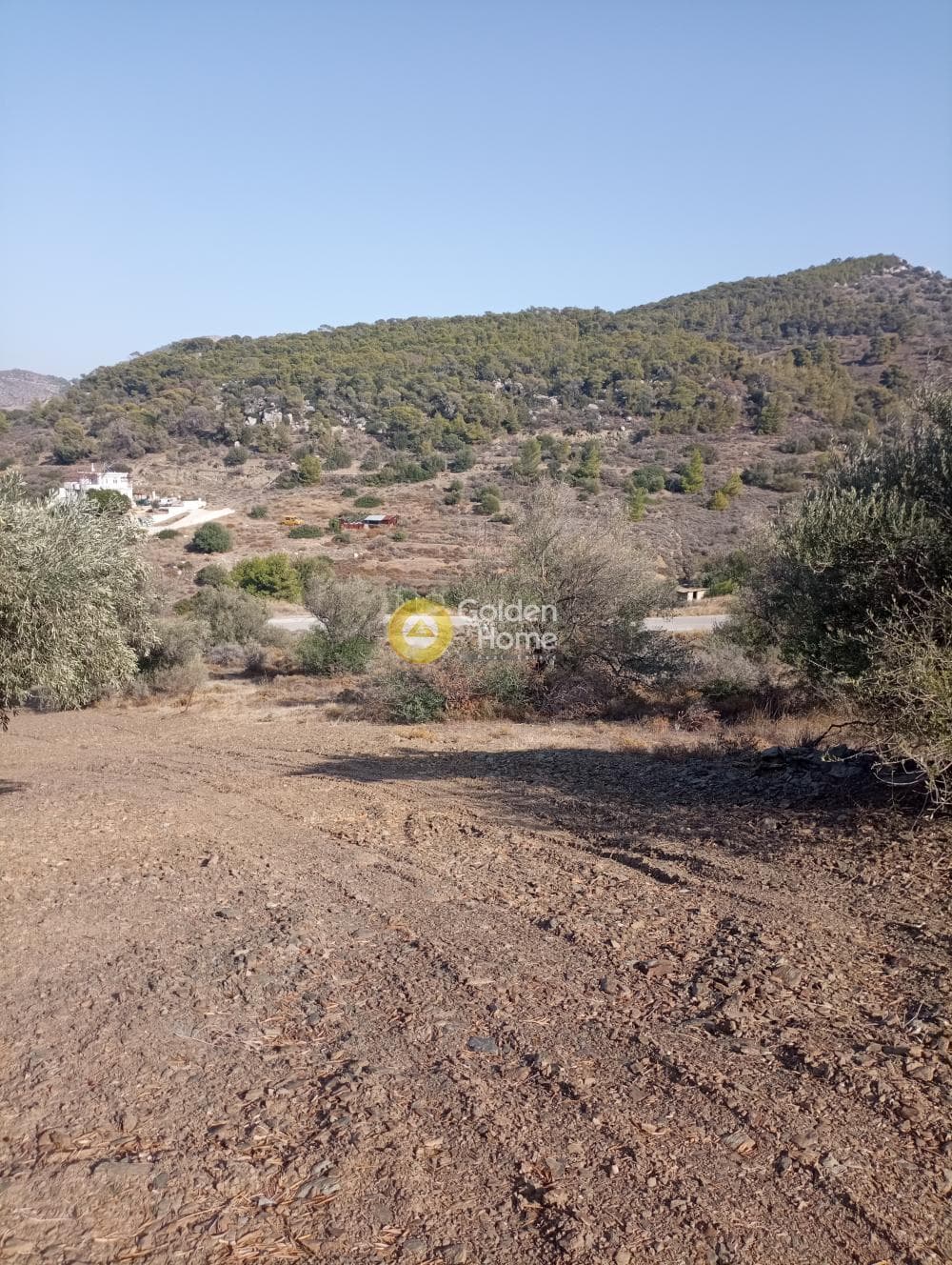 Οικόπεδο στην Δημητράνη, Σαλαμίνα — Φωτογραφία 4 από 4