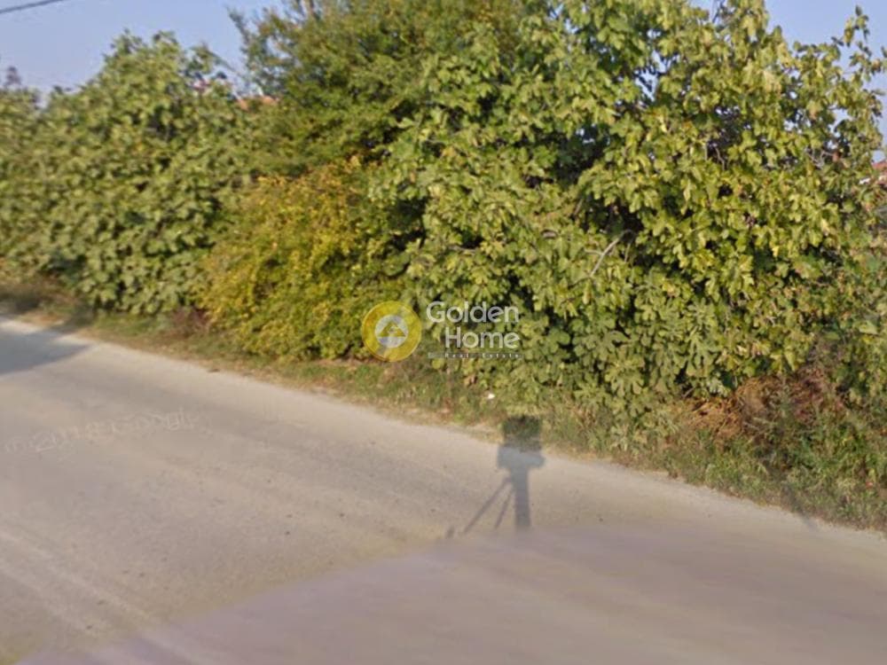 Αγροτεμάχιο στην Αγία Παρασκευή, Βασιλικά — Φωτογραφία 9 από 9