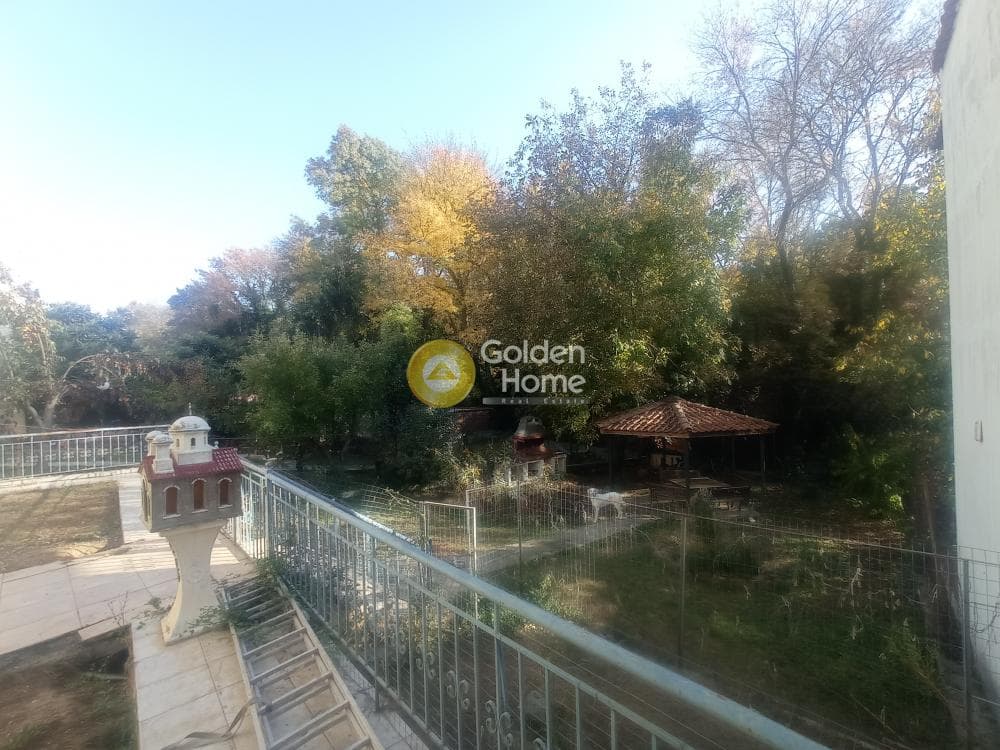 Μονοκατοικία στην Φίλυρο, Πεύκα — Φωτογραφία 4 από 27
