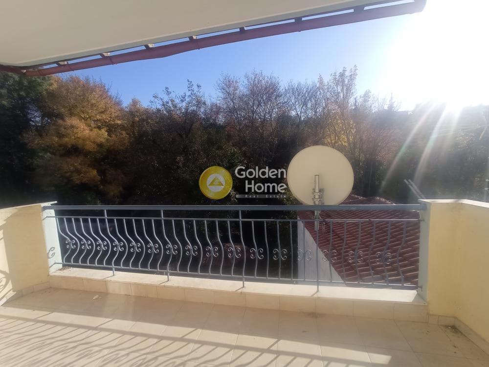 Μονοκατοικία στην Φίλυρο, Πεύκα — Φωτογραφία 24 από 27