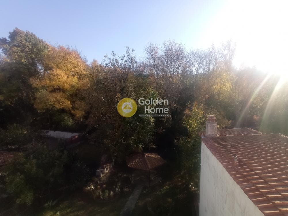 Μονοκατοικία στην Φίλυρο, Πεύκα — Φωτογραφία 23 από 27