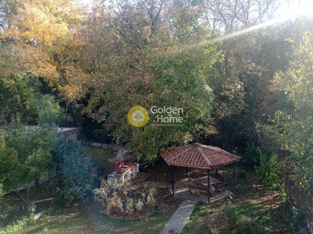 Μονοκατοικία στην Φίλυρο, Πεύκα — Φωτογραφία 3 από 27