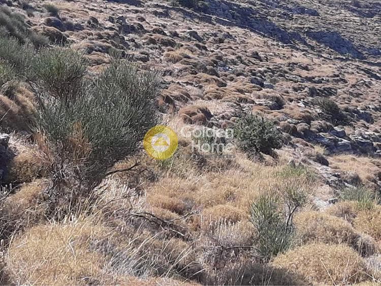 Αγροτεμάχιο στην Αγία Μαρίνα, Κέα — Φωτογραφία 4 από 9