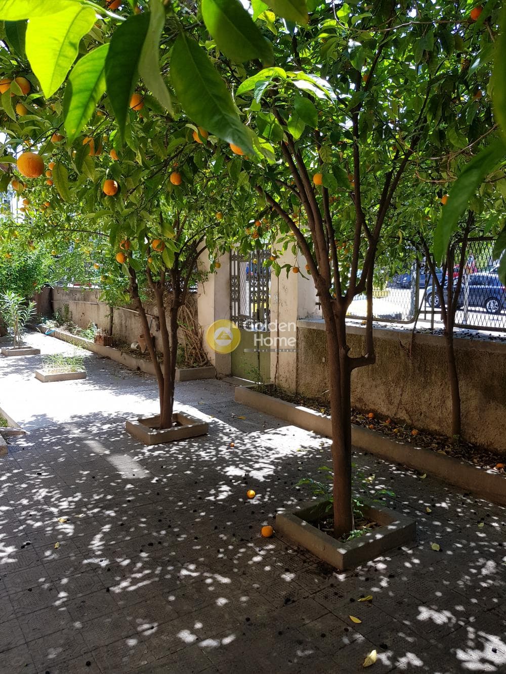 Building Plot in Creteka, Galatsi — Photo 15 of 33