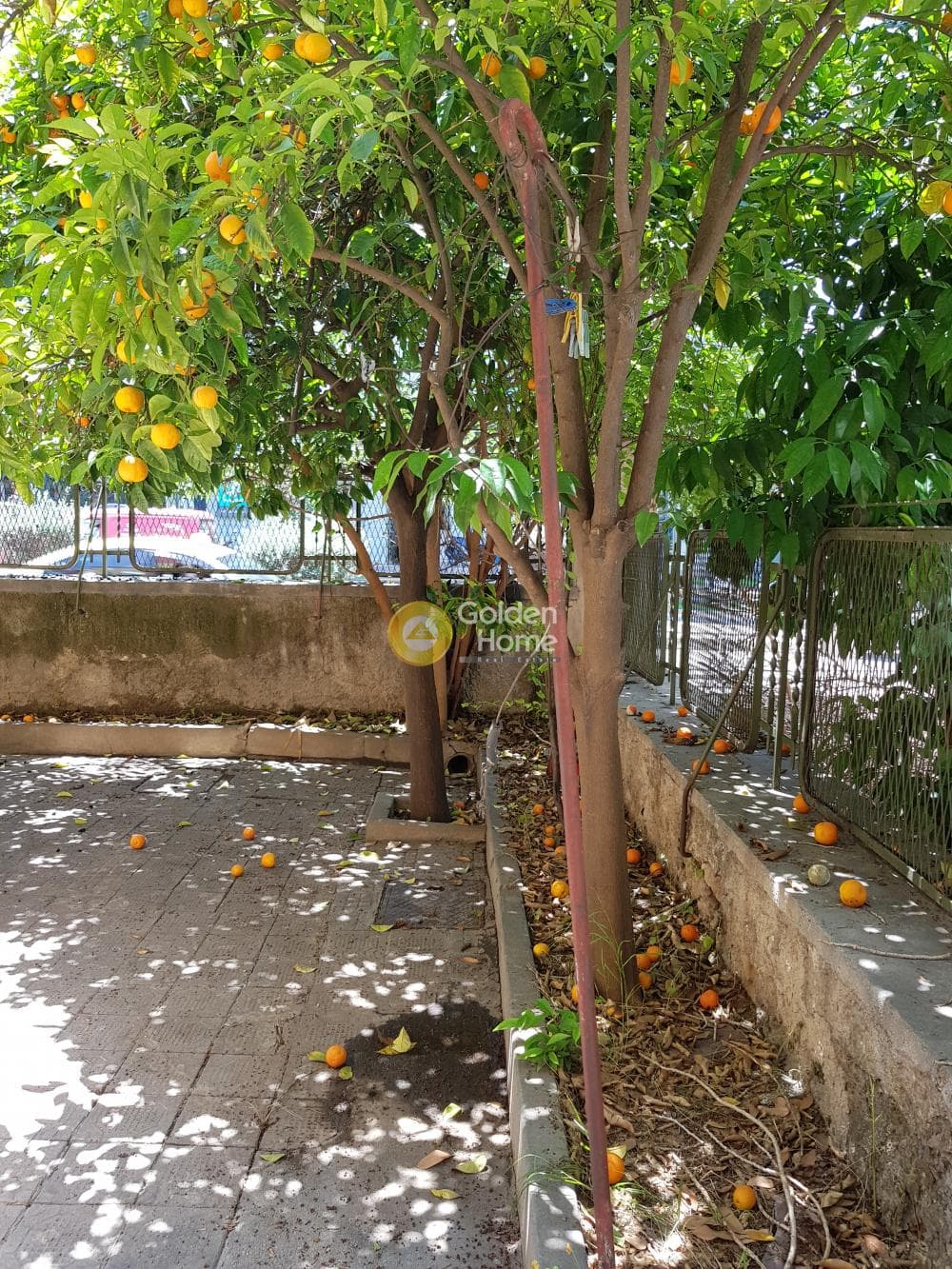 Building Plot in Creteka, Galatsi — Photo 16 of 33