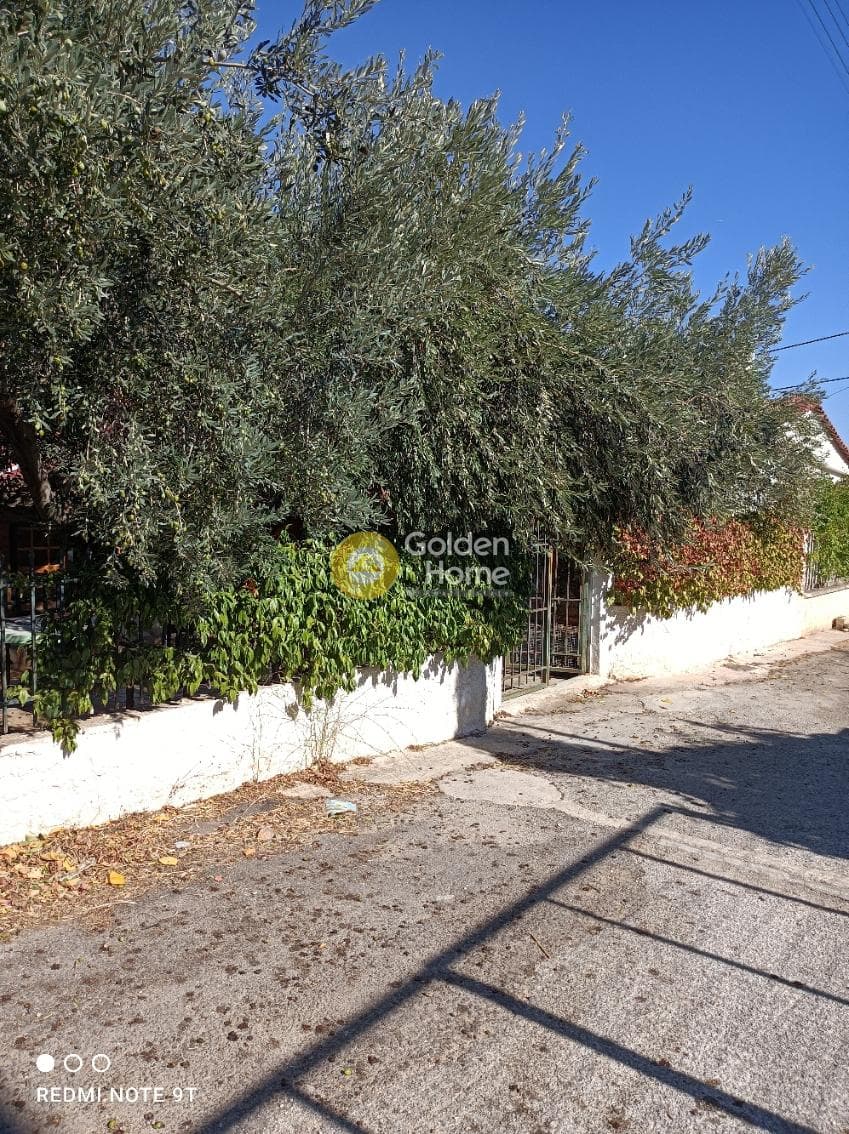 Μονοκατοικία στην Βορινέζα, Αρτέμιδα (Λούτσα) — Φωτογραφία 4 από 30
