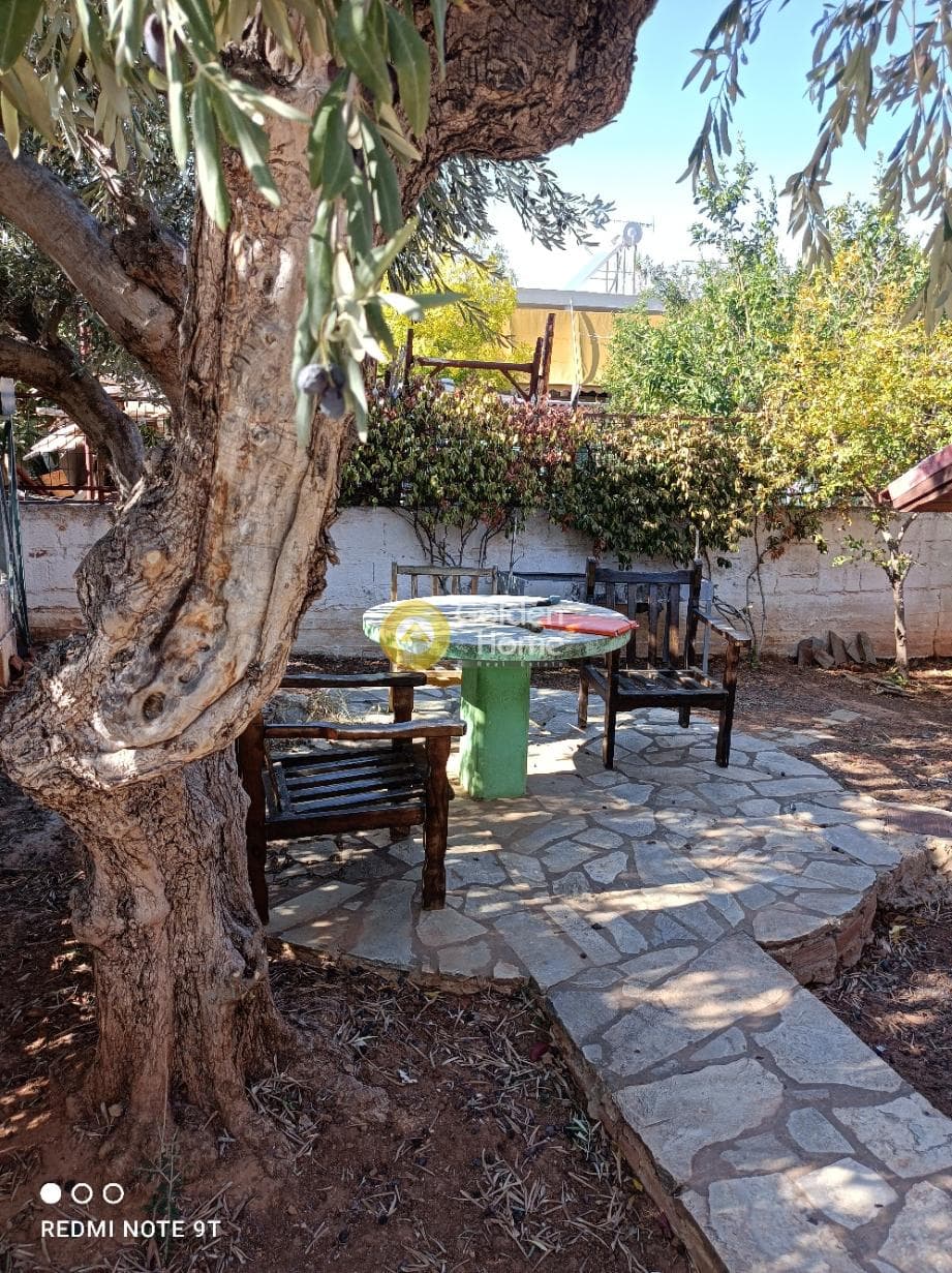 Μονοκατοικία στην Βορινέζα, Αρτέμιδα (Λούτσα) — Φωτογραφία 28 από 30