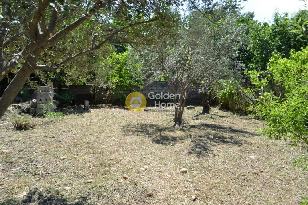 Οικόπεδο στην Μαρίζα, Παλλήνη — Φωτογραφία 2 από 2