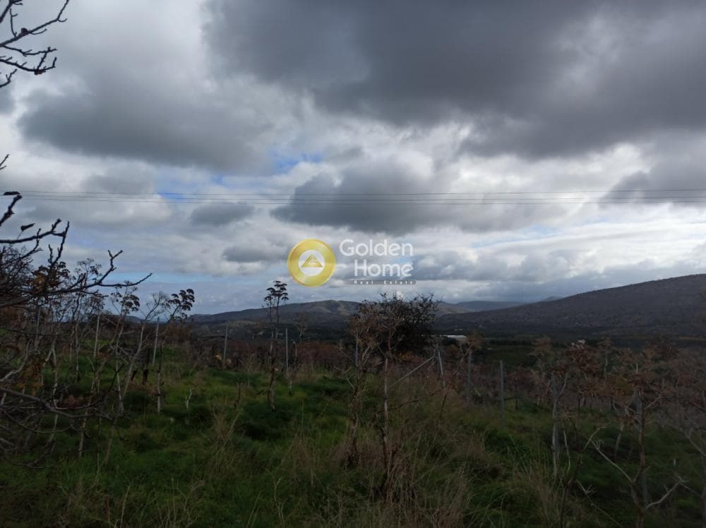 Building Plot in Stamnoi, Episkopi — Photo 1 of 2