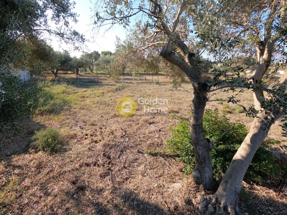 Building Plot in Kato Charvati, Pallini — Photo 7 of 7