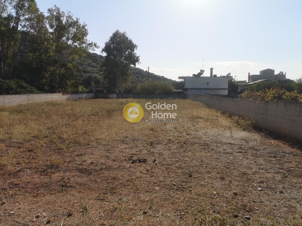 Building Plot in Kalivia, Kalivia Thorikou — Photo 3 of 9