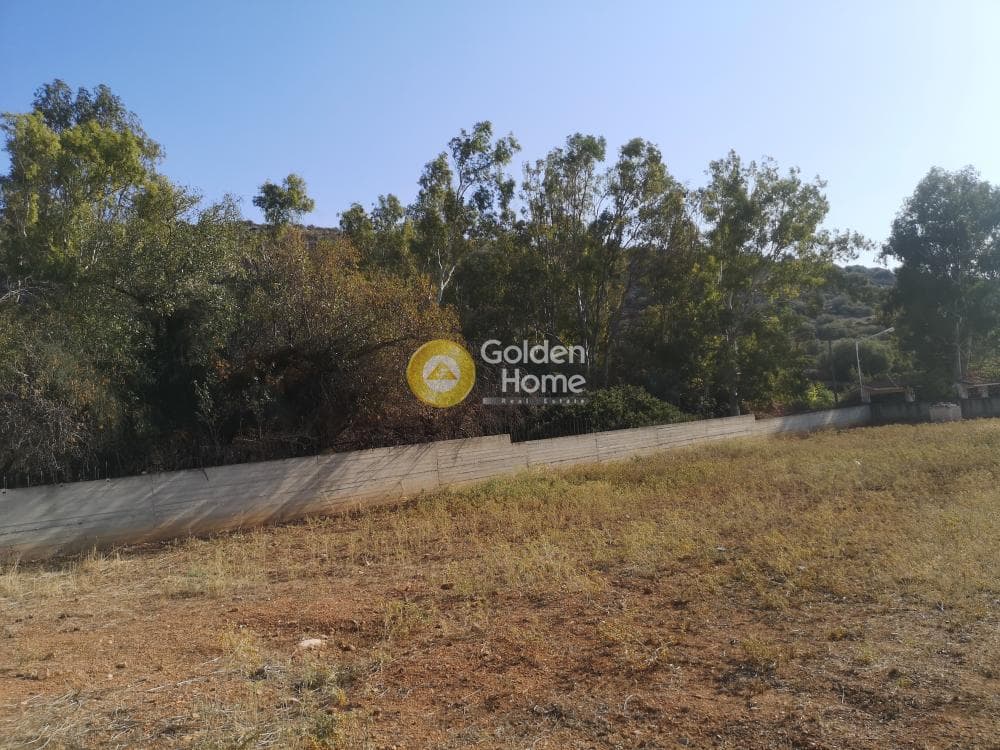 Building Plot in Kalivia, Kalivia Thorikou — Photo 6 of 9