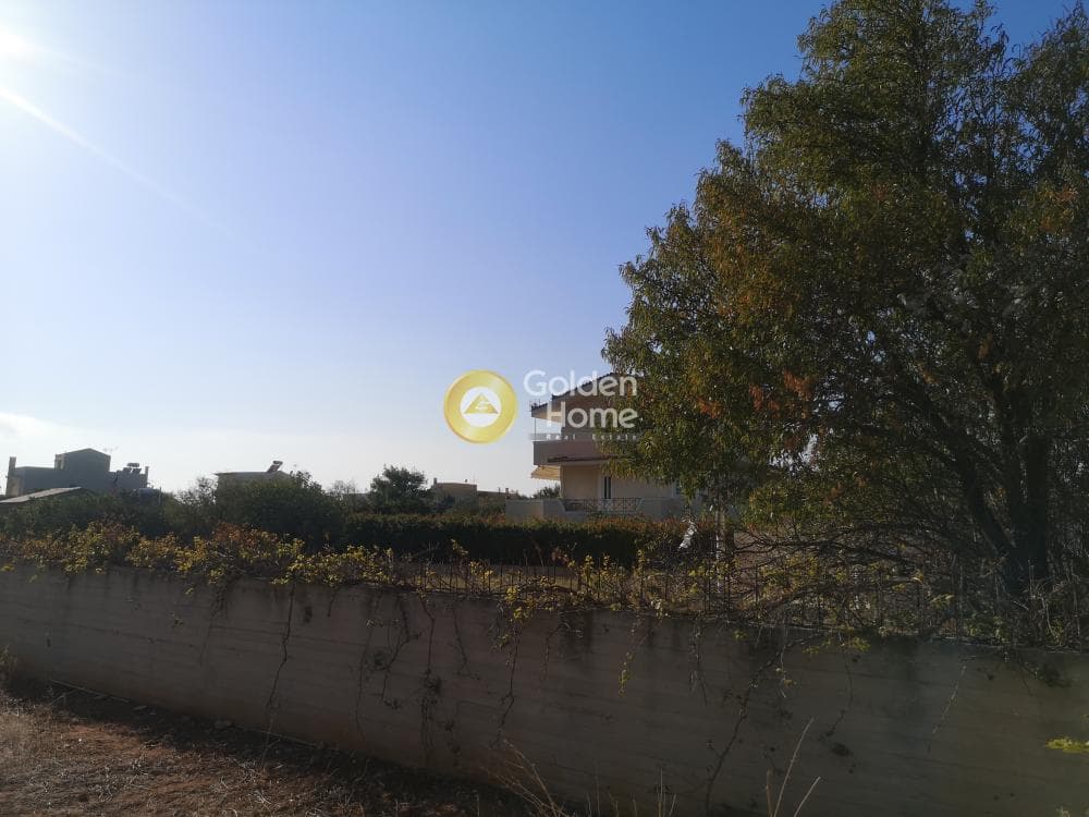 Building Plot in Kalivia, Kalivia Thorikou — Photo 7 of 9
