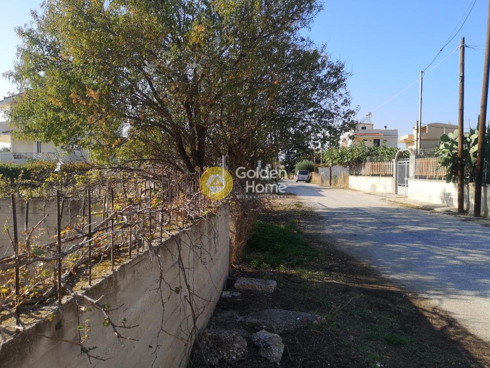 Building Plot in Kalivia, Kalivia Thorikou — Photo 9 of 9