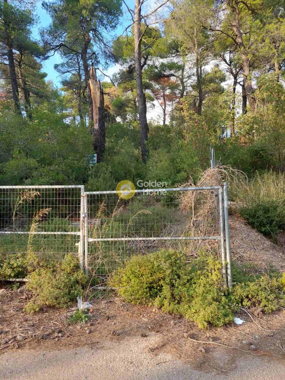 Οικόπεδο στην Αγία Τριάδα, Αφίδνες — Φωτογραφία 3 από 9