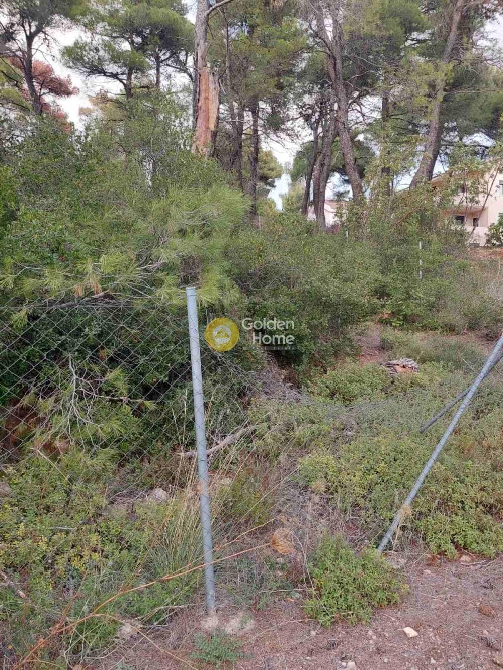 Οικόπεδο στην Αγία Τριάδα, Αφίδνες — Φωτογραφία 4 από 9