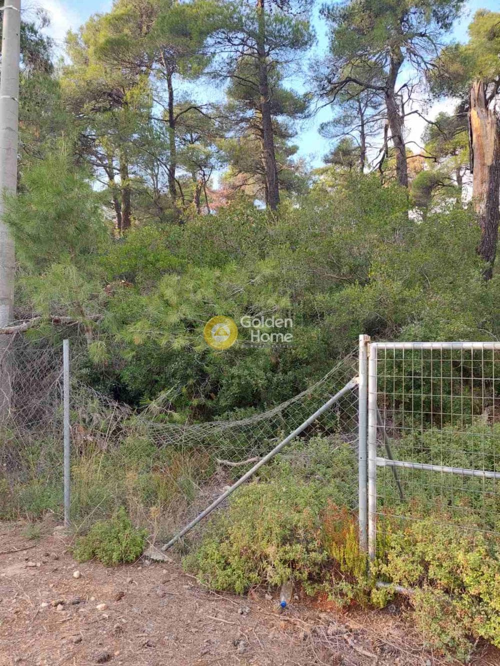 Οικόπεδο στην Αγία Τριάδα, Αφίδνες — Φωτογραφία 5 από 9