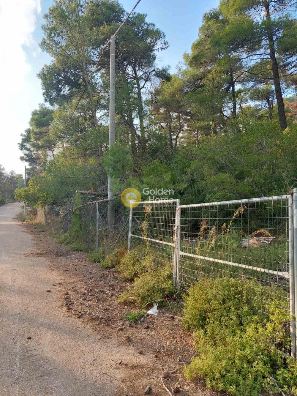 Οικόπεδο στην Αγία Τριάδα, Αφίδνες — Φωτογραφία 6 από 9