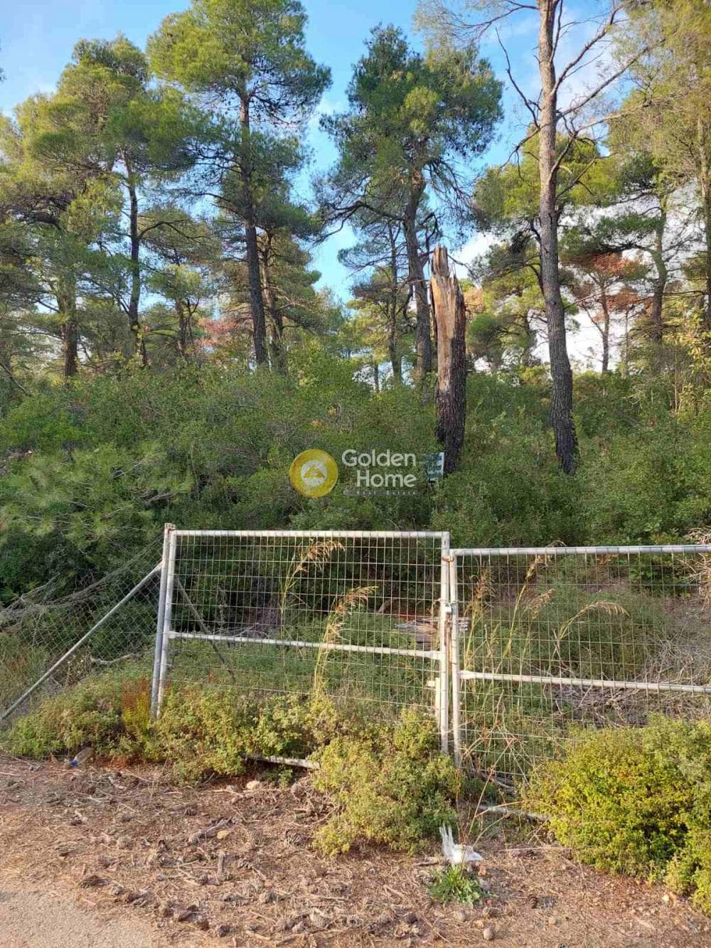 Οικόπεδο στην Αγία Τριάδα, Αφίδνες — Φωτογραφία 7 από 9