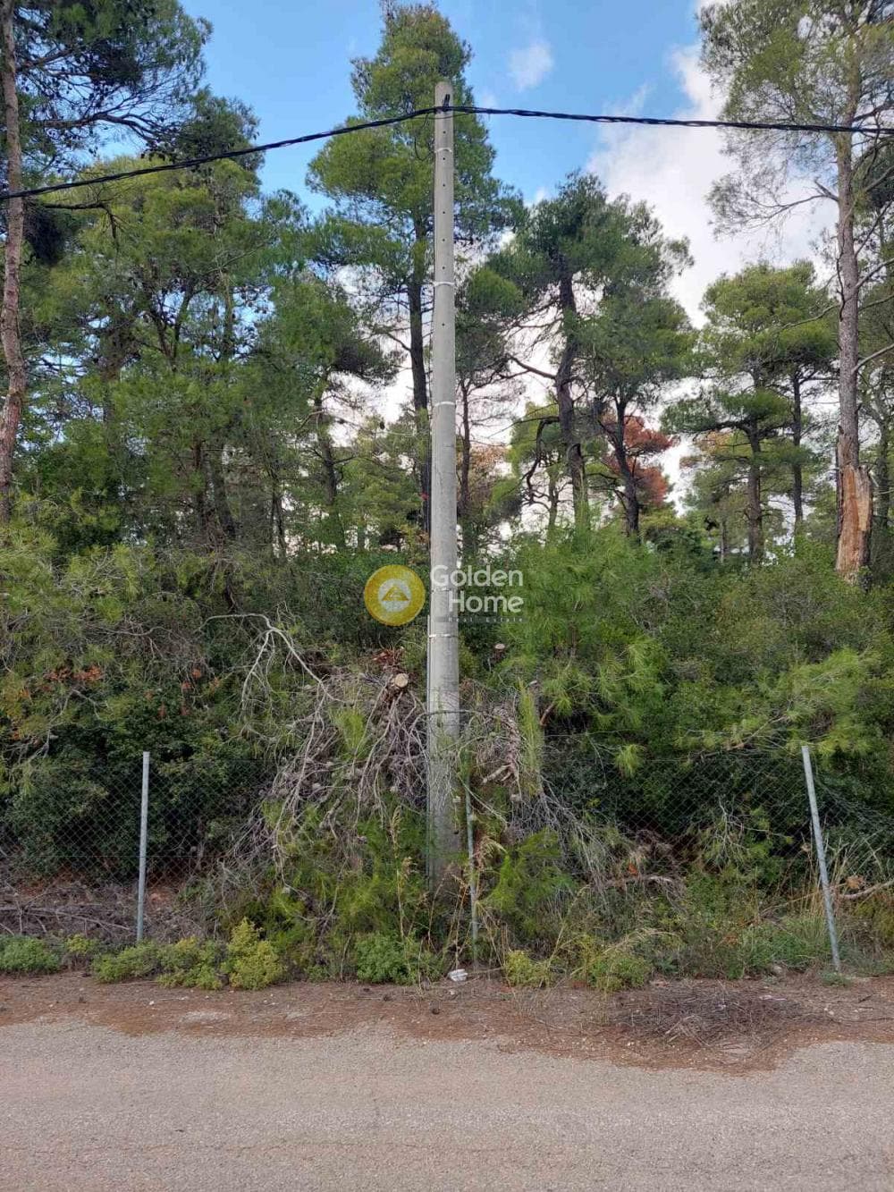 Οικόπεδο στην Αγία Τριάδα, Αφίδνες — Φωτογραφία 9 από 9