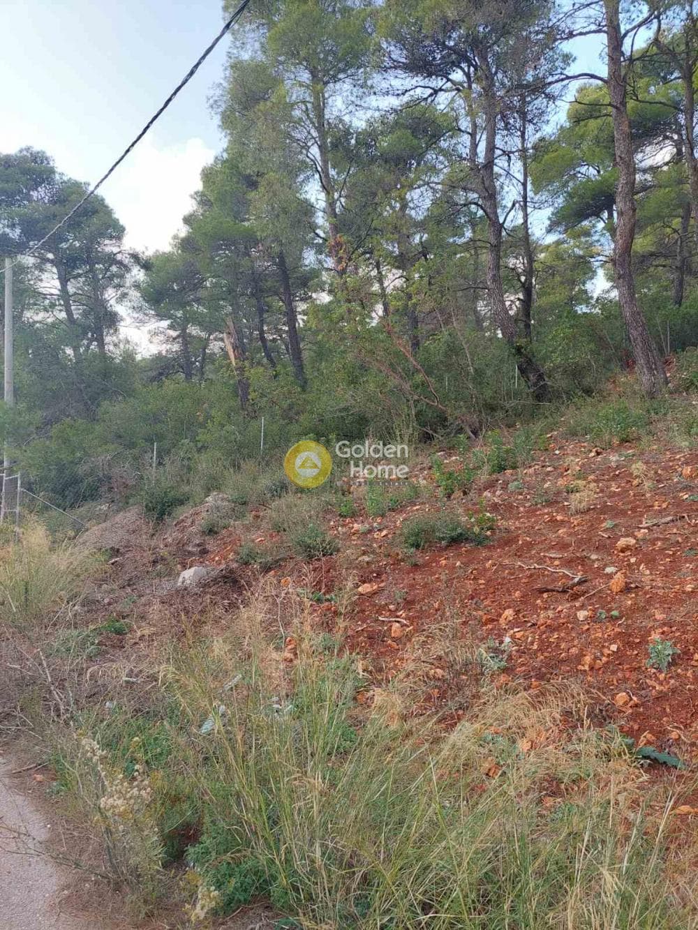 Οικόπεδο στην Αγία Τριάδα, Αφίδνες — Φωτογραφία 1 από 9