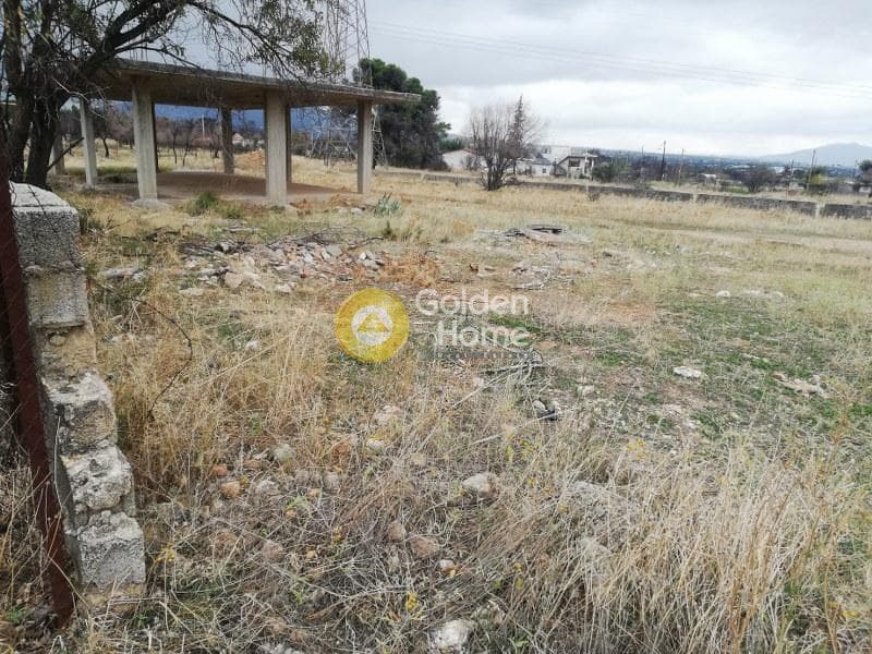 House in Megala Sxoinia A, Acharnes — Photo 3 of 6