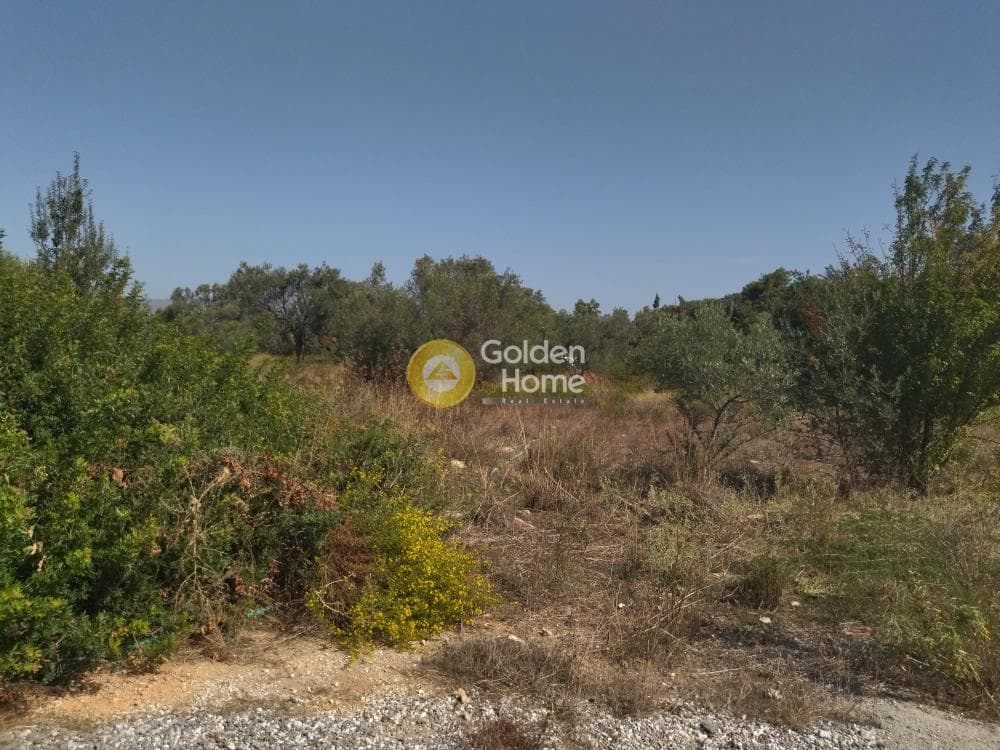 Οικόπεδο στην Αγία Μαρίνα, Παιανία — Φωτογραφία 2 από 2